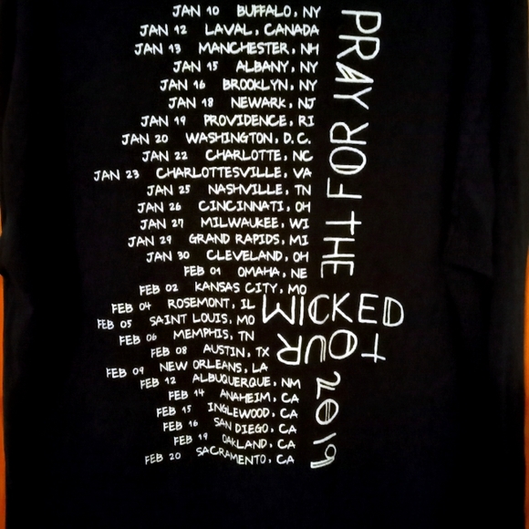 Panic at the disco Pray for the wicked Tour 2008 Large - Picture 2 of 2